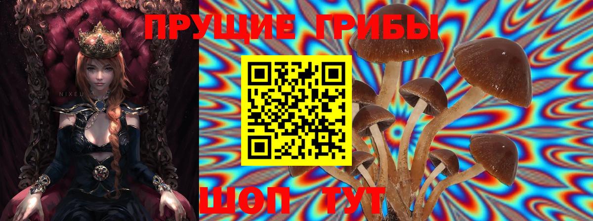 Галлюциногенные грибы Cubensis  Галлюциногенные грибы ЛСД  Вход с VPN  Кузнецк 
